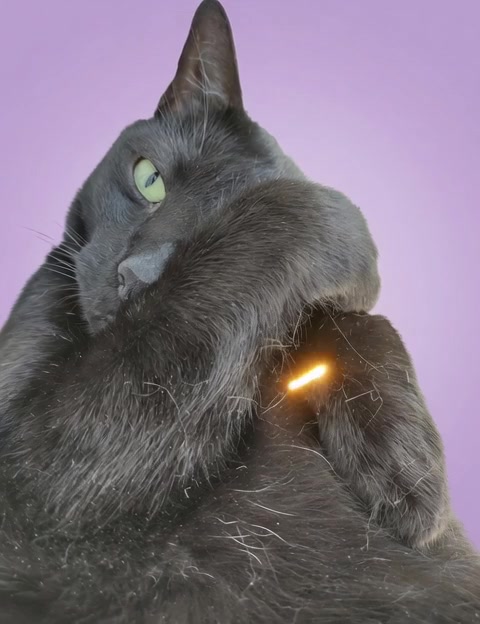 Bubba